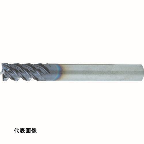 皆既月食を見よう エンドミル-切削・研削工具用アクセサリー
