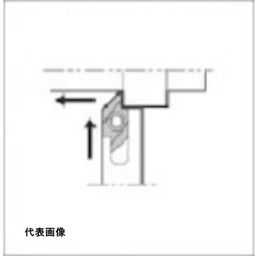 皆既月食を見よう
