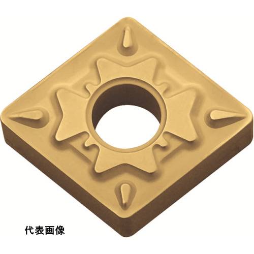 皆既月食を見よう