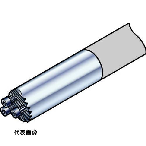 皆既月食を見よう