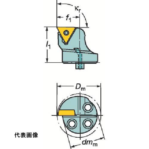 皆既月食を見よう