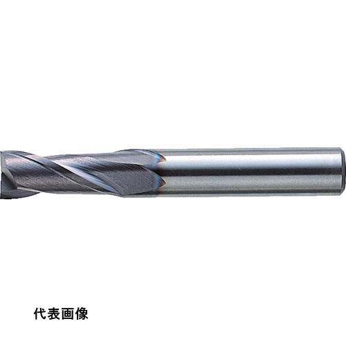 皆既月食を見よう