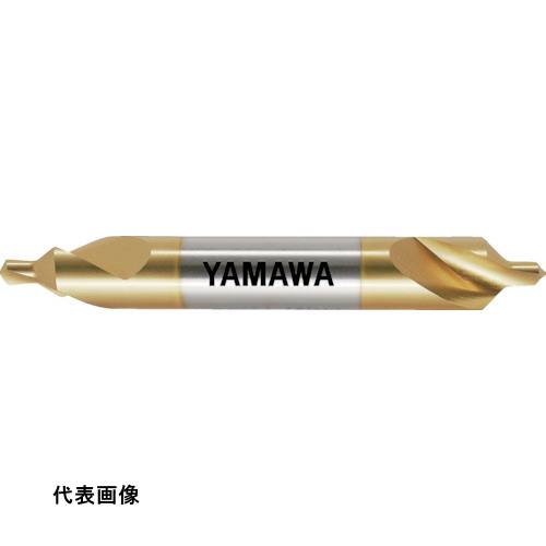 皆既月食を見よう