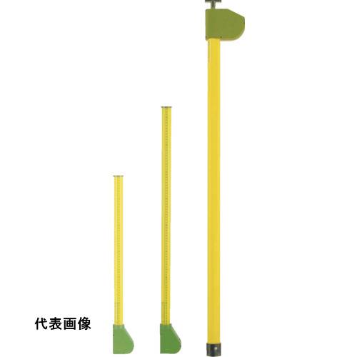 宣真 メジャーポール202-6m [202-6] 販売単位：1 送料無料