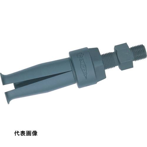 皆既月食を見よう