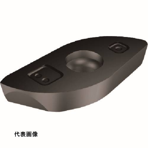 皆既月食を見よう