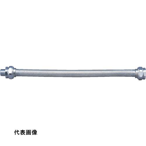 皆既月食を見よう