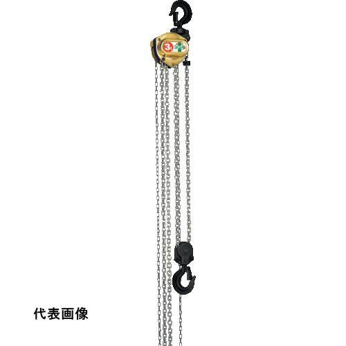 手動チェンブロック 象印 ホイストマン トルコン機能付チェーンブロック1t・2.5m [HM3-01025] 販売単位：1 送料無料｜ルーペスタジオ