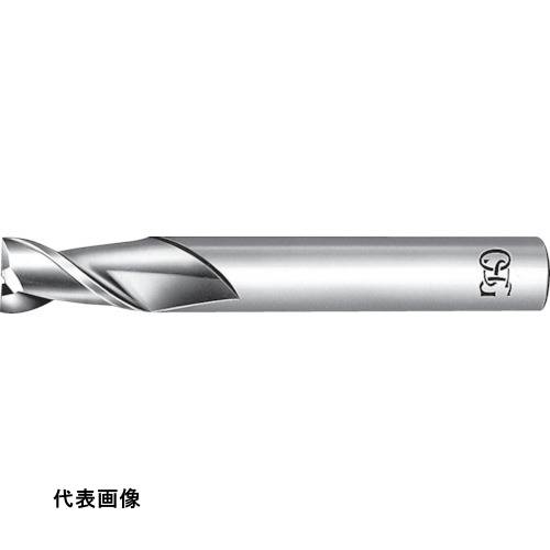 皆既月食を見よう 花・ガーデン・DIY-切削・研削工具用アクセサリー