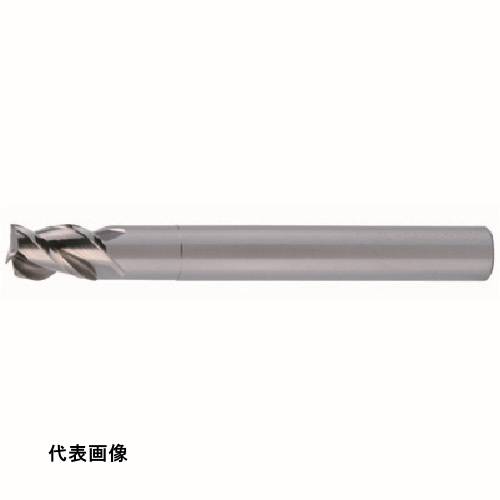 皆既月食を見よう