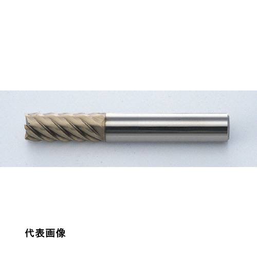 皆既月食を見よう