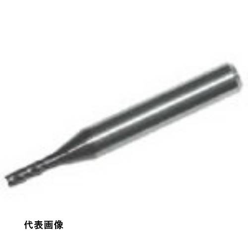 皆既月食を見よう 花・ガーデン・DIY-エンドミル