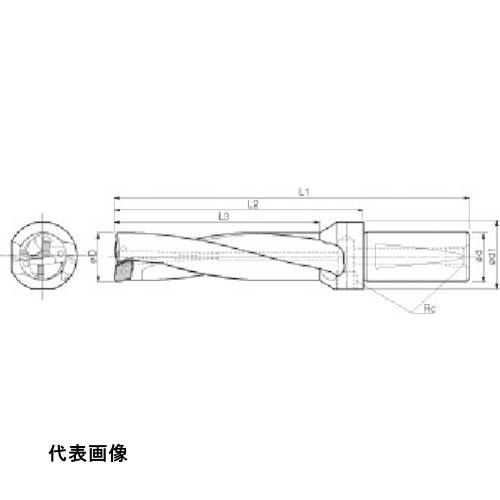 皆既月食を見よう