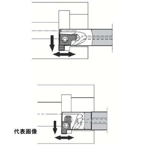 皆既月食を見よう