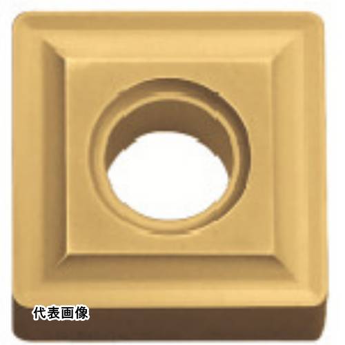 皆既月食を見よう