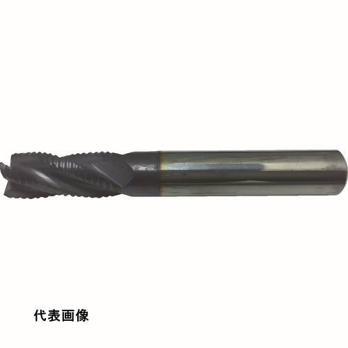 皆既月食を見よう