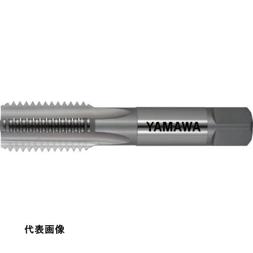 皆既月食を見よう