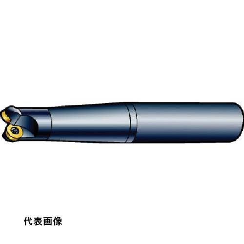 皆既月食を見よう