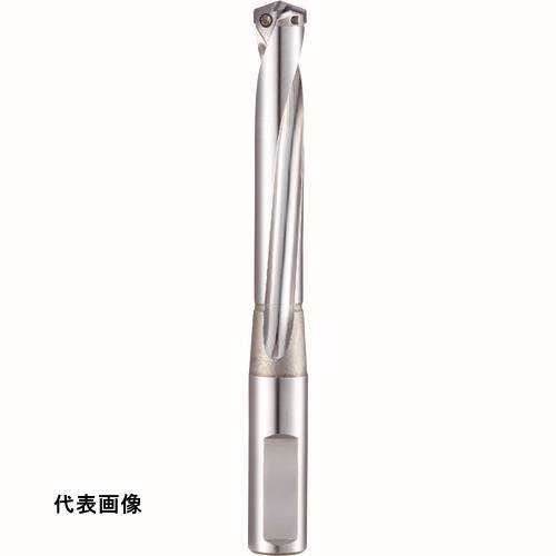 皆既月食を見よう
