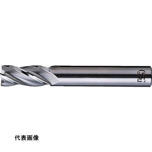 皆既月食を見よう
