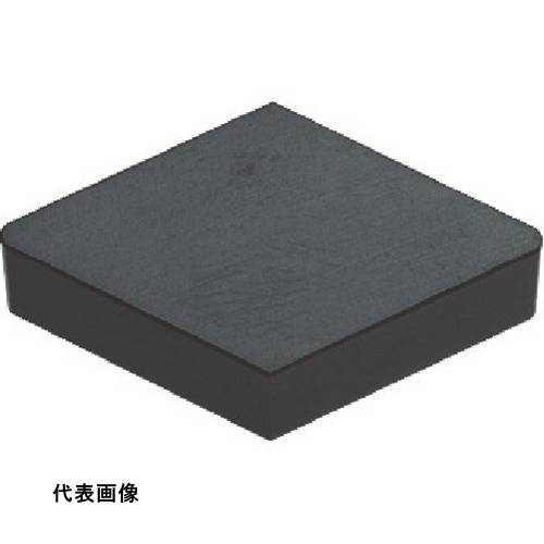 皆既月食を見よう