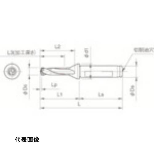 皆既月食を見よう