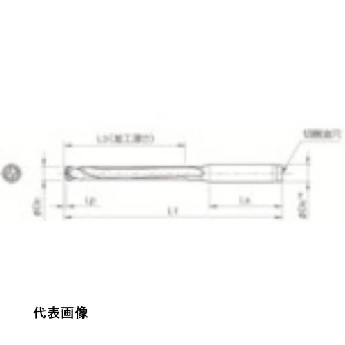 皆既月食を見よう