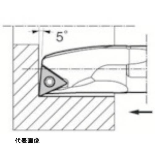 皆既月食を見よう