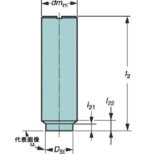 ミーリングエンドミル SANDVIK コロミルEH円筒シャンクホルダ(445) [E20-A25-SS-080] 販売単位：1 送料無料｜ルーペスタジオ