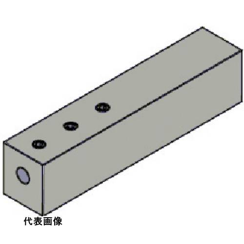 皆既月食を見よう