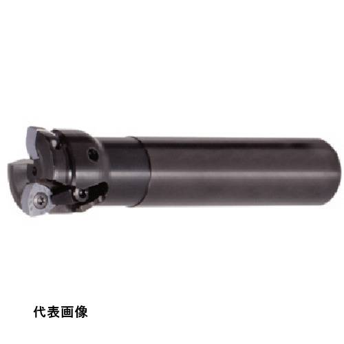 ミーリングエンドミル タンガロイ ミル・フィード 柄付きカッタ EXP [EXP06025RS] 販売単位：1 送料無料｜ルーペスタジオ 34,034円