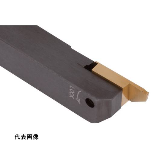 皆既月食を見よう