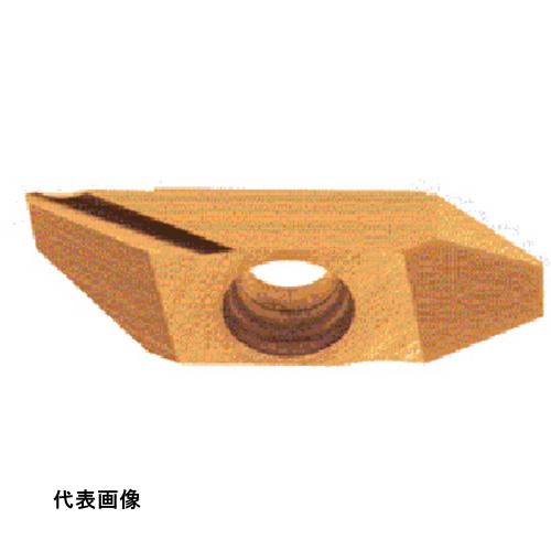 皆既月食を見よう 電動・エア工具用アクセサリー-穴あけ工具用アクセサリー-花・ガーデン・DIY