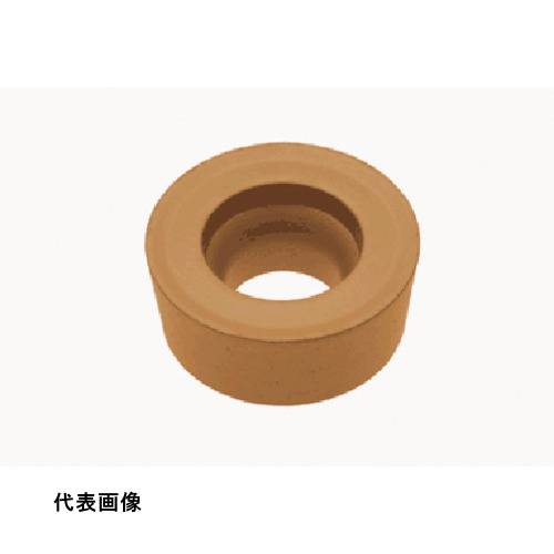 皆既月食を見よう