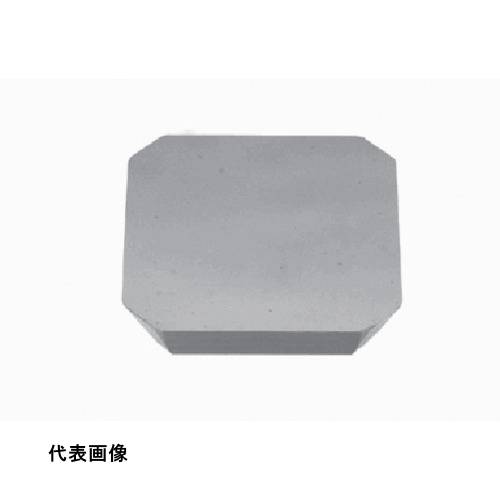 皆既月食を見よう