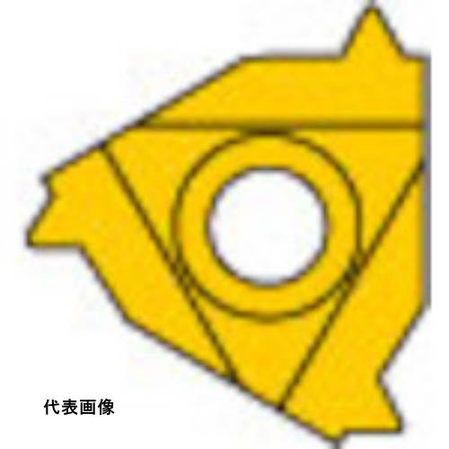 三菱 MMTシリーズ 内径ねじ切り加工 MMTIバイト用 PVDコーティング 全面研削形インサート VP10MF 切削 工具 チップ フライス加工 削る フライス 加工 diy [MMT16IR110W VP10MF] 5個セット 送料無料｜ルーペスタジオ