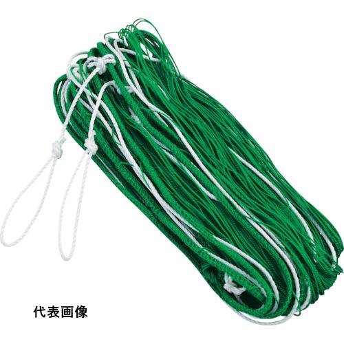 皆既月食を見よう