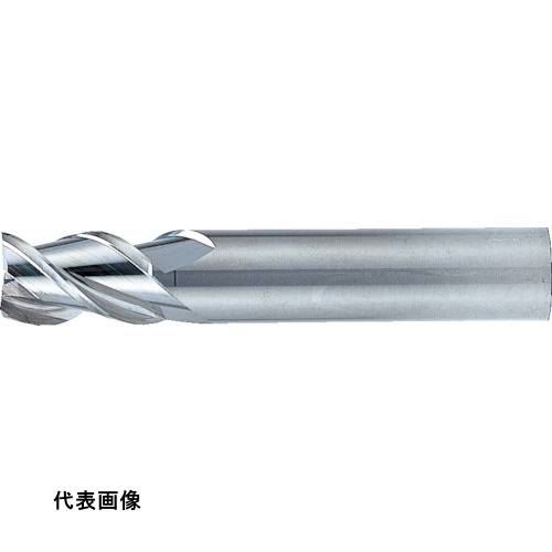 皆既月食を見よう