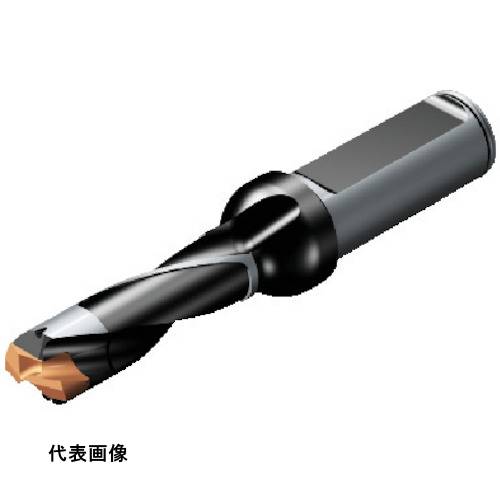 ドリリングドリル SANDVIK コロドリル870 ヘッド交換式ドリル(446) [870-2200-22L25-3] 販売単位：1 送料無料｜ルーペスタジオ