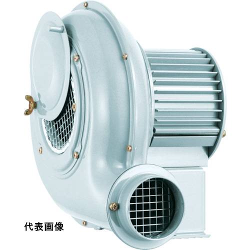 昭和 電動送風機 汎用シリーズ(0.04kW) 設置型 送風機 [SB-201] 販売単位：1 送料無料｜ルーペスタジオ