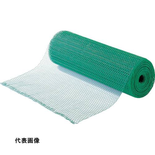 皆既月食を見よう