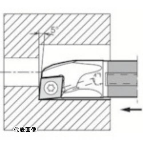 皆既月食を見よう