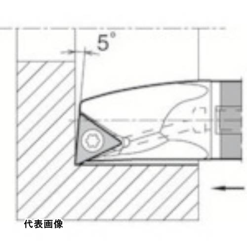 皆既月食を見よう