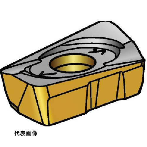 皆既月食を見よう