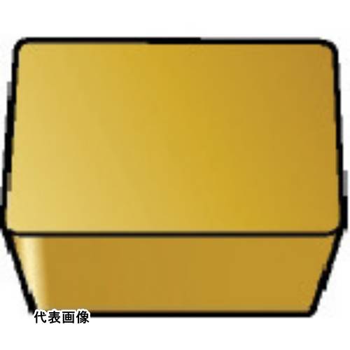皆既月食を見よう