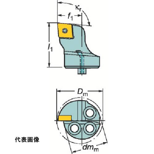 皆既月食を見よう