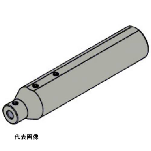 皆既月食を見よう