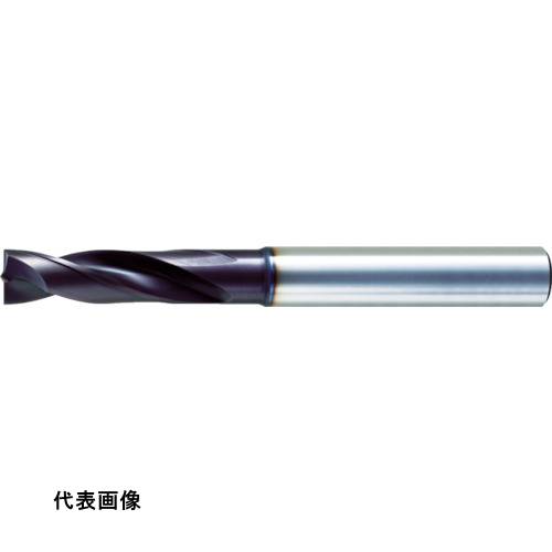 皆既月食を見よう