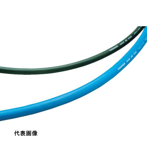 皆既月食を見よう