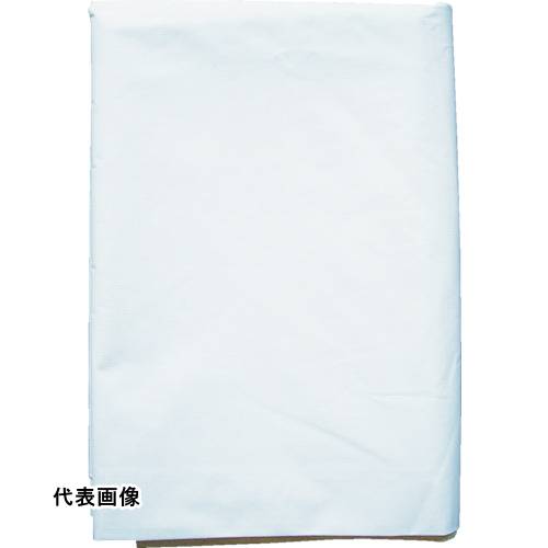 皆既月食を見よう